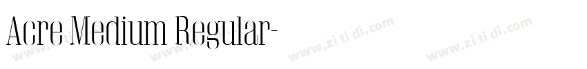 Acre Medium Regular字体转换